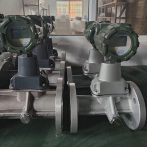 SIP flow meter